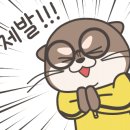 에스제이키즈 이미지