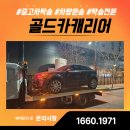 카포스정성카전문정비 | 의정부 구리 남양주 캐리어 탁송, 전문 운송 골드카캐리어