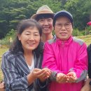 반장농장 이미지