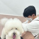 그루밍젤리 이미지