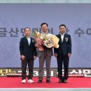 금산-31 이미지