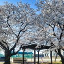 동국대학교사범대학부속금산고등학교 이미지