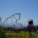 고흥-1호 이미지