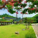 안동시립박물관 이미지