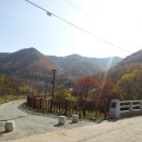 비학산자연휴양림 이미지