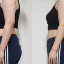 비벨라핏 이미지