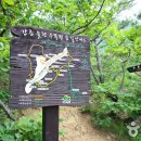강릉 솔향수목원과 주문진 소돌바위공원 여행 이미지