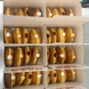 이순신광장로 이미지