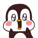 금호타이어 춘천대리점 이미지