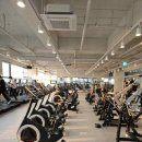 나이스짐 이미지