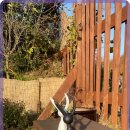 하늘별민박 이미지