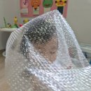 에어캡 위를 뛰어다녀요~💕 이미지