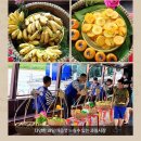 펀아일랜드 | 나트랑 해적 호핑투어 미니비치 펀아일랜드 내향인 솔직 후기