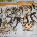 주진주유소 Daum카페
