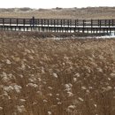 을숙도대교 공중화장실 이미지