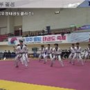 새빛 태권도 이미지