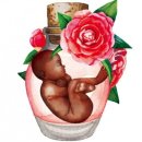 미래유전자 이미지