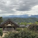 용문힐링캠프