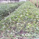 도봉노인종합복지관 이미지