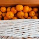 미란농장 이미지