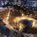 2.28기념중앙공원 네이버블로그