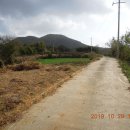 아영면 율동마을 이미지