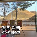 고분 | 오아르미술관 경주 현장발권 도슨트 카페 루프탑 고분뷰 주차 후기