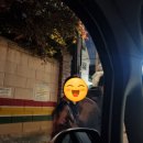 북수동 152-2 ~ 북수동 21-20 | 연휴: 지나가요~🌪 4말5초 추억하기