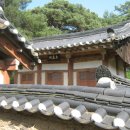 일직점곡로(일직면) 이미지