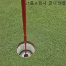 홀컵 깃대 샘플 설치 (댓글필수) 이미지