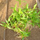 대완농장 이미지