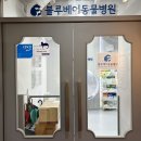 블루동물병원 | 병점 동물병원, 블루베어동물병원 강아지 스케일링 내돈내산 만족 후기