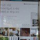 고남농장 | 인천 강화군 : 커비비경에 나온 매화마름의 핸드드립 커피