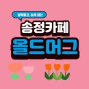 올드머그 | 해운대구 송정 아침 일찍, 저녁늦게까지 영업하는 동화속 카페[올드머그]
