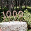 김해톱밥 이미지