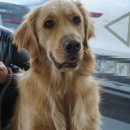 감자동물병원 이미지