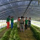 국제농장 이미지