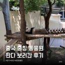 400051 | 충칭 동물원 가는법 고덕지도 중국 판다 볼 수 있는곳 청두 X