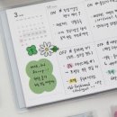 위클리디자인