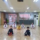 백호경희대태권도 이미지