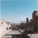 종합건축사사무소 S.S.P. 삼대 이미지