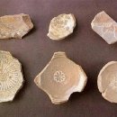 교산동 건물지 이미지