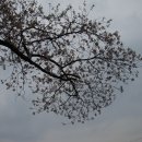 아산초등학교 이미지