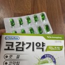 킥에스 | 광동제약 코감기약 킥노즈에스 복용 후기