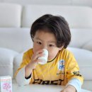 초롬바이오