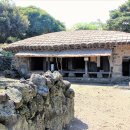 성읍정의현로 이미지