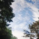 비아하우스32