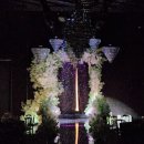 포항시북구26 | 포항 결혼준비 예식장 홀드메 투어 - 포마레, 더 퀸, 라한 웨딩 상담 후기