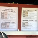 남이섬 하늘자전거 입장권 할인 최저가 토요일 방문 후기