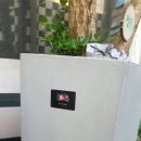 아이비팜 이미지